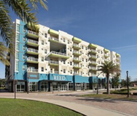 Front view of Reed Encore Tampa apartment complex with palm trees and landscaping