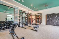 fitness center at Navara at ENCORE! apartment homes in downtown Tampa